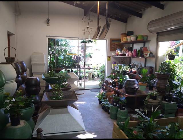 894M² BUSINESS FOR SALE IN BLUFF